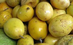 Farinha de Maracujá Benefícios e Como Usar