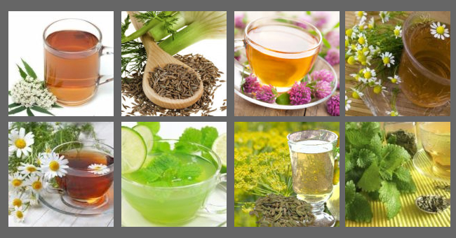 chas calmantes e antidepressivos