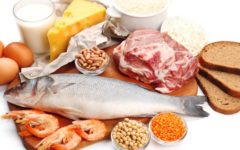 Aminoácidos – O que são? Para que Servem?