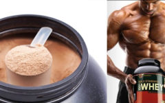 Whey Protein – Melhores Marcas do Mercado