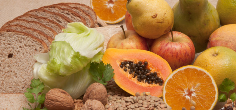 fibras alimentares pdf
